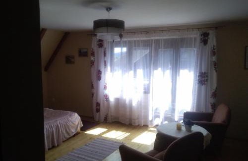 Zakopane House | Oleksandra Protsenko "Oleńka" Willa Asieńka