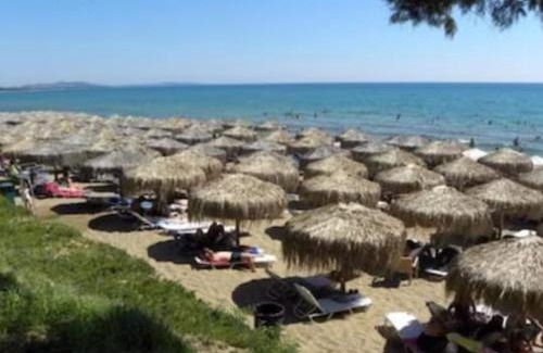 Kourouta House | Olga's Garden Home - Douneika