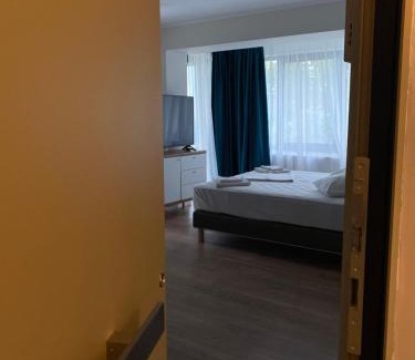 Copou Apartment | Oliv Residence