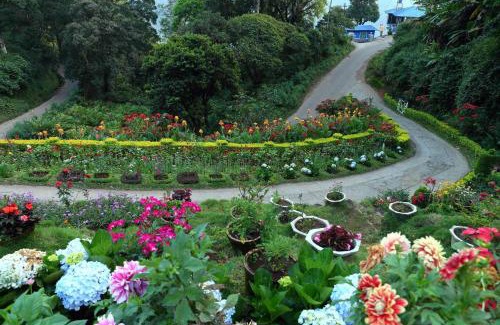 Devikolam Resort | Olive Brook