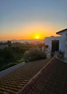 Skarinou Villa | Olive Garden's Paradise Villa