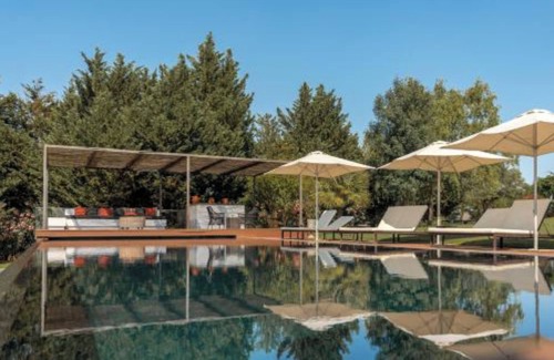 Moura House | Olive Room