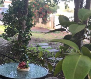 Mount Gambier House | Olive's Cottage