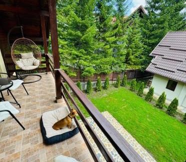 Busteni Ski Chalet | Ollie's Mountain Chalet
