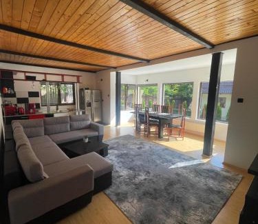 Busteni Ski Chalet | Ollie's Mountain Chalet
