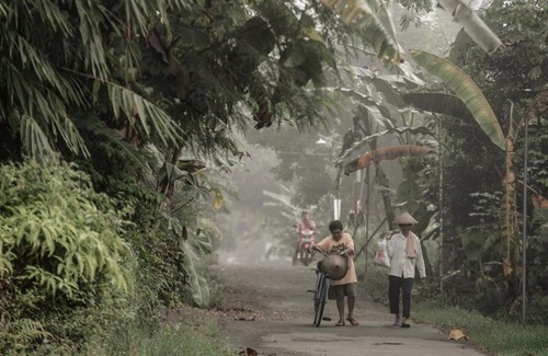 Balangan House | Omah minggir
