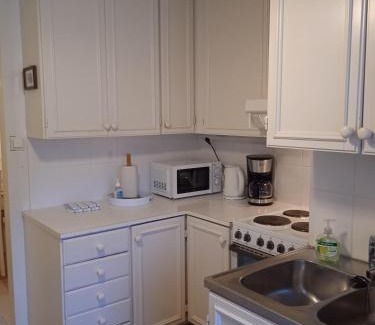 Ylamylly Apartment | Omakotitalo keskustan lähellä