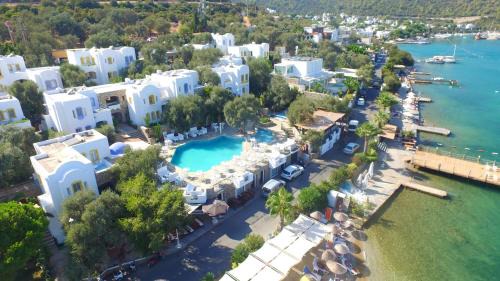 Torba Hotel | Omar Hotel & Suites