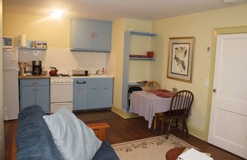 Athens Apartment | On Boulevard. Sleeps 4. Newly Renovated Apartment! Walk to downtown and stadium.