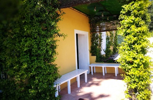 Campiglia Marittima House | On Holiday Between Sky And Sea geco Di Campiglia pet friendly big garden