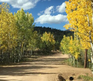 Bailey House | On the Divide