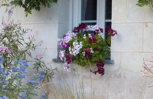 La Bohalle House | On the Loire by bike circuit