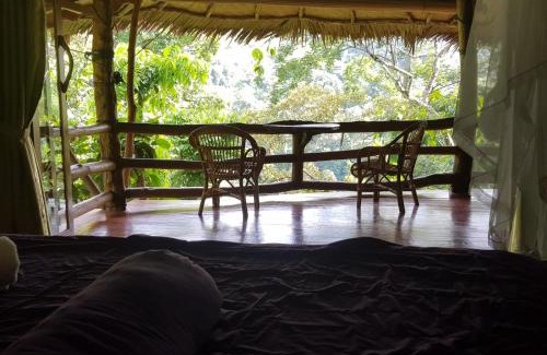 Bukit Lawang Cabin | On The Rocks Bungalows, Restaurant and Jungle Trekking Tours