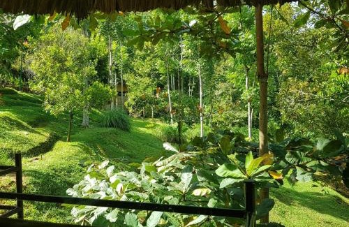 Bukit Lawang Cabin | On The Rocks Bungalows, Restaurant and Jungle Trekking Tours