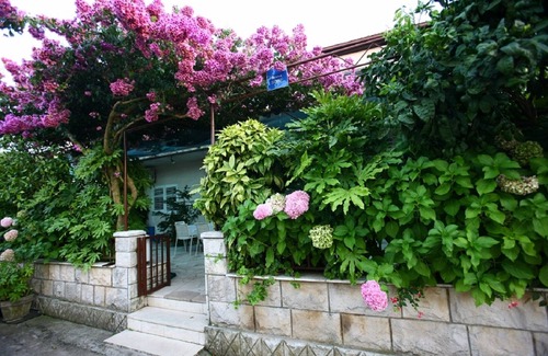 Loviste Apartment | One bedroom apartment with balcony and sea view Lovište, Pelješac (A-15150-a)