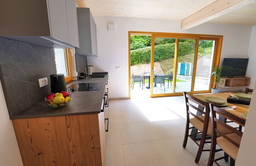 Bovec Apartment | One-Bedroom with Large Private Terrace - House Elipsa - Apartment 1