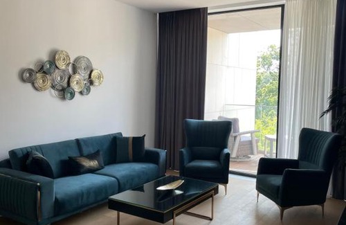 Aviatiei Apartment | One Herastrau Vista 2 Bedrooms With View