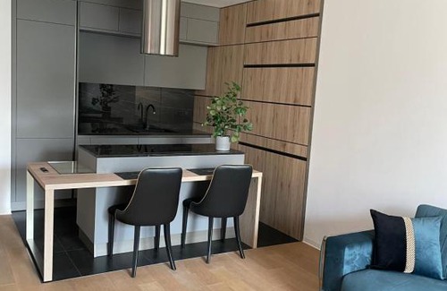 Aviatiei Apartment | One Herastrau Vista 2 Bedrooms With View