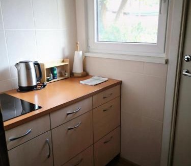 Juodkrante Apartment | One-room apartment with private inner-yard