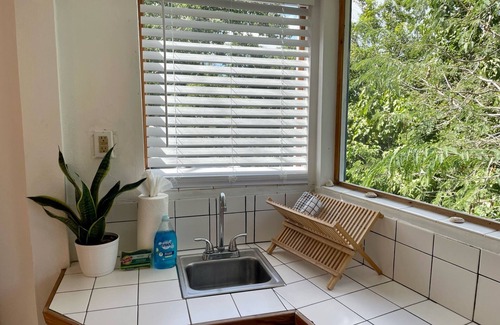 Contant Farms Apartment | Open Air Breezes Nestled Among Our Tamarind Tree - 5 Minutes from Cruz Bay Beach