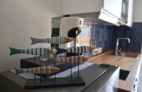 Nettuno Apartment | Open Space Centralissimo Nettuno Fronte Porto
