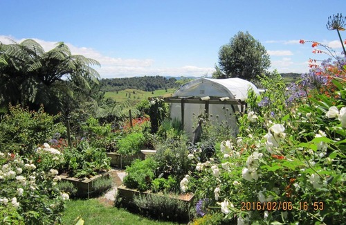 Te Kuiti Cabin | Opens 2025! Private retreat will spoil you, Stunning views, Waitomo's Hidden Gem