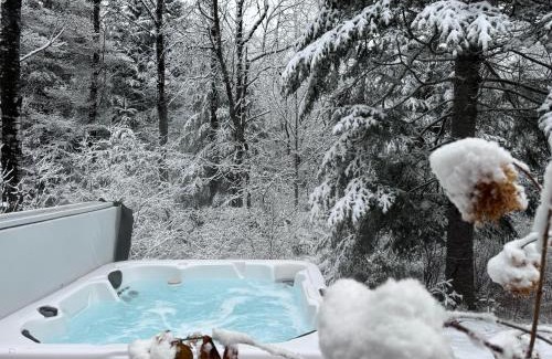 Bretton Woods Villa | OR Luxury yurt-like home in Bretton Woods with private beach firepit AC fishing and trails