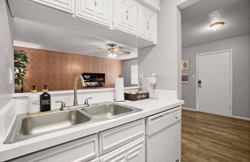 North Loop Apartment | Orange Austin Pad! Short Distance to DTX, 6th