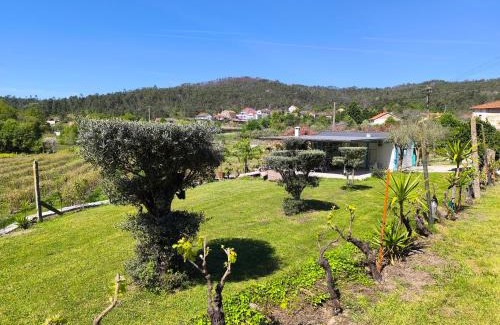 Castro Daire Resort | ORberry