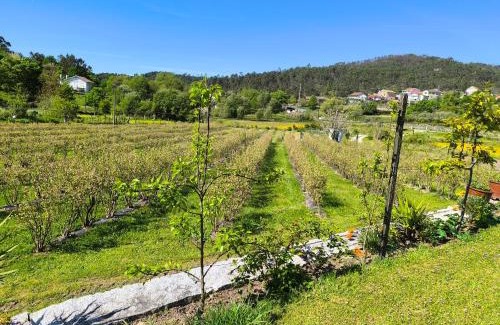 Castro Daire Resort | ORberry