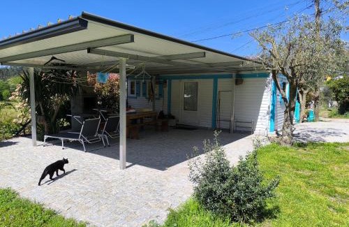 Castro Daire Resort | ORberry