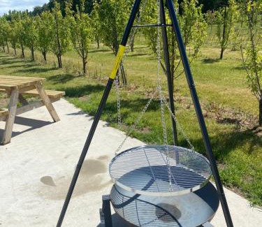 Salhouse Other | Orchard Retreats Glamping At Black Barn Farm Norfolk