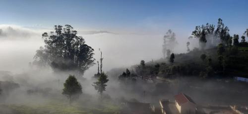 Ooty House | Orchard Valley View