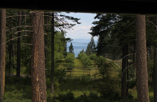 Finley Point House | Orchards & old growth forest surround this Finley Point Home.
