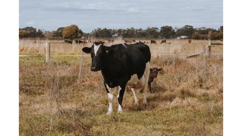 Mundoona House | Organic Farm Stay by Tiny Away