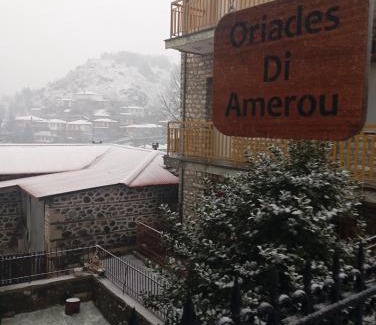 Metsovo Apartment | Oriades di Amerou