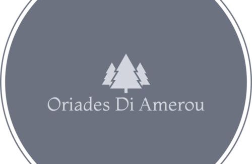 Metsovo Apartment | Oriades di Amerou