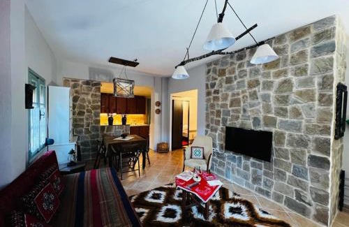 Metsovo Apartment | Oriades di Amerou