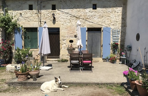 Le Vieux-Cerier Cabin | Original Mongolian Yurt in Charente