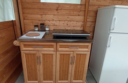 Santa Luce RV Rental | Original Mongolian yurt in the green woods