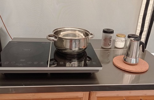 Santa Luce RV Rental | Original Mongolian yurt in the green woods