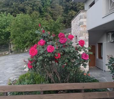 North Tzoumerka House | orminia house upper level