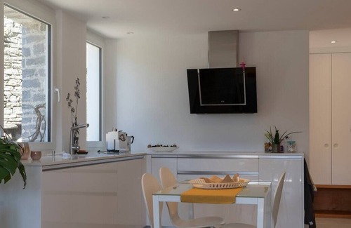 Orselina Apartment | Orselina in Style Swisshomebnb