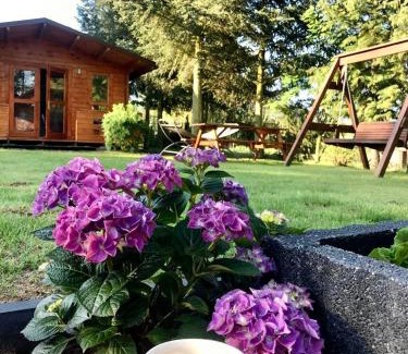gmina Szamocin Ski Chalet | Osada Laskowo, Ośrodek Laskowo domki nad jeziorem