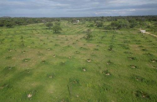 Welikanda House | OSHKI Farm and Holiday Resort