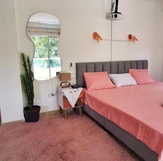 San Rafael Apartment | OSIMiRI JAMAICA Ríos cristalinos, naturaleza y tranquilidad