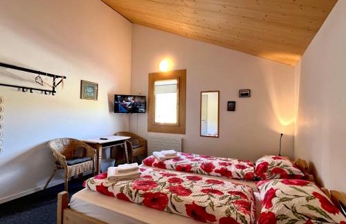 Bivio Hotel | Ospizio La Veduta