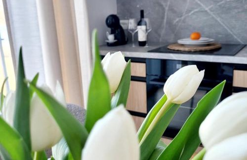 Trygort Apartment | Ostoja Orli Dziób D7