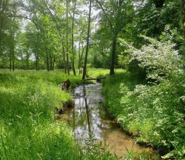 Oden Other | Ouachita Campground at Edendell