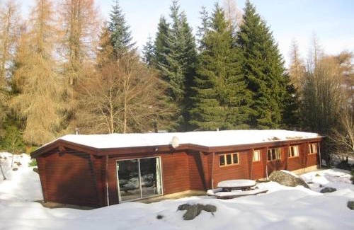 Blairgowrie House | Our Log House in the woods